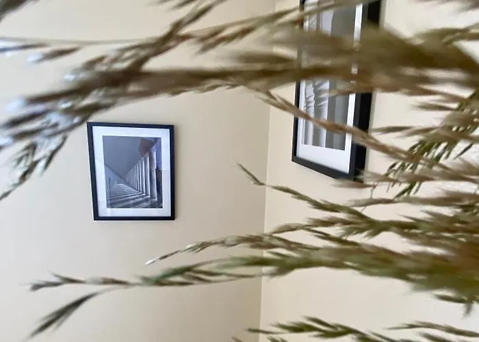 Le Joli Paille - Trefle