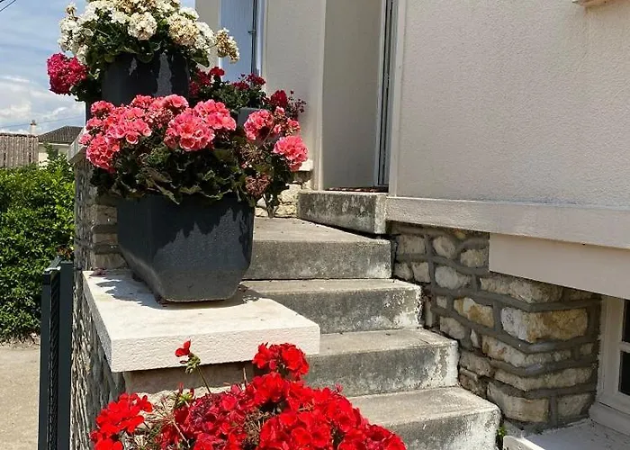 Appartement Le Joli Paille - Trefle